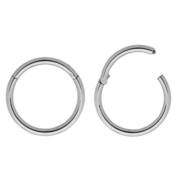 365 SLEEPERS G23 Titanium 1.0 mm Segment Nose Ring Hoop