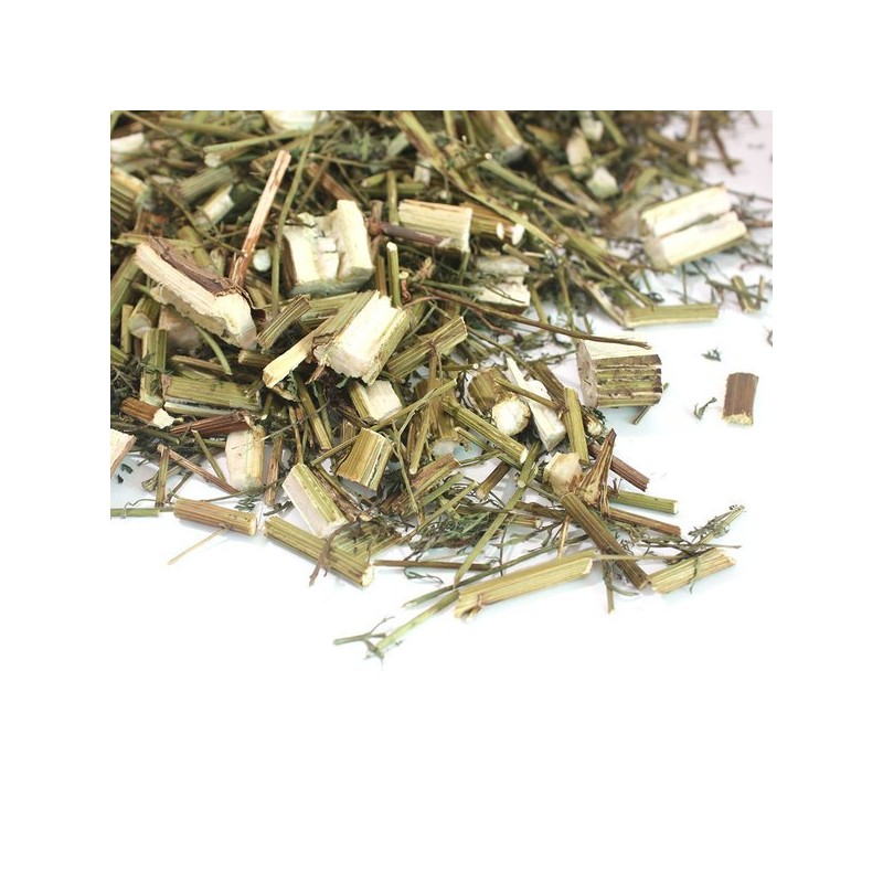Incha 국내산 개똥쑥 쑥 300g Domestic Artemisia absinthium 300g