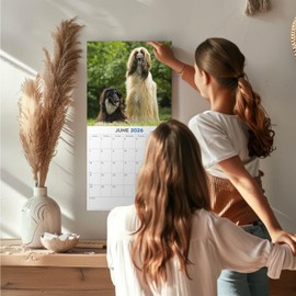 2026 Afghan Calendar - Dog Breed Wall Calendar - 12 x 24 Open - Thick No-Bleed Paper - 14 Month Planner Calendar Organizing & Planning