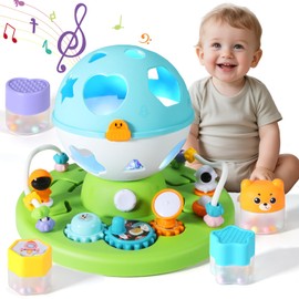Baby Toys 18 Months, Baby Musical Light Up Toys, Montessori Toys Sensory Shape Sorter Toys for 1 Year Old Boys Girls, Early Learning Toys Baby Birthday Gifts