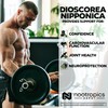 Nootropics Depot Nootropics Depot Dioscorea nipponica Capsules | 400mg |