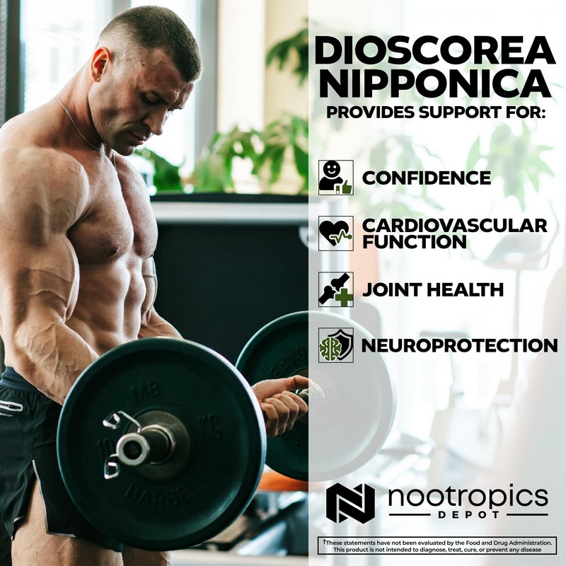 Nootropics Depot Nootropics Depot Dioscorea nipponica Capsules | 400mg |