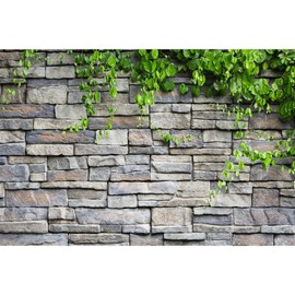 ZatiasMiller Aquarium Background Stone Brick Wall with Green Climbing Plants Terrarium Background Rock Brick Reptile Habitat Background Fish Tank Backdrop Decor Vinyl 36x20in