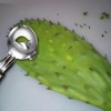Stainless Steel Peeler - Multi-Purpose Kitchen Tools, Cactus Peeler, Noodle