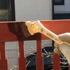 Handy Crown Prospec