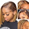 12Inch Highlight Brown Bob Wig Human Hair 13x4 HD Lace
