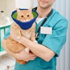 kissral Collar for Dogs, Adjustable Protective Collar, Lightweight Cone Collars,