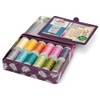 Gütermann G799783 Cotton 30 Sewing Thread Box with Needles and