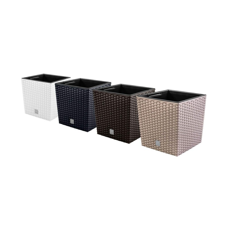 Prosperplast DRTS200L-S433 20 x 20 x 20,2 cm "Rato" low