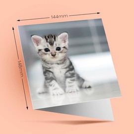 1 x Greeting Card Grey Tabby Bengal Pet Kitten Animals - Blank Birthday Celebration Anniversary #8433