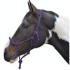 Y-H Hy Rope Halter Black Cob/Full