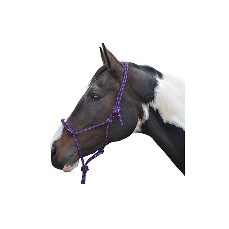 Y-H Hy Rope Halter Black Cob/Full