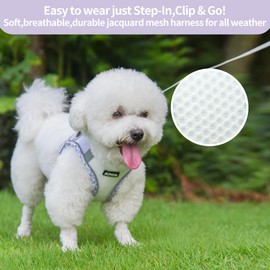 AIITLE Dog Harness and Leash Set - Ultra-Comfortable XXS-XL Vest with Strong Magic Tape & Glow-in-Dark Reflective Strips, Chafe-Free for Teddy, Schnauzer (Purple-White, M)