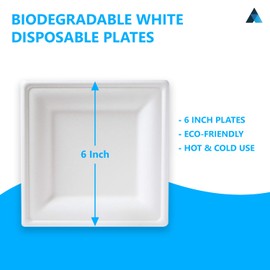 NationwidePaper 6Inch Small Bagasse Square Paper Plate, Eco-Friendly White Compostable Plates Pack of 100 (15cm)
