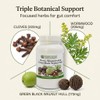 Wormwood Black Walnut and Clove Capsules 600mg Per Capsule –