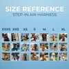 Voyager Step-in Air Cat Leash Harness Set - All Weather