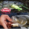 Berkley Frenzy Pop Frog - Bullfrog, Twin Pack 10 g