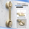 DAILYLIFE Shower Grab Bar for Bathtubs and Showers, 17 inch