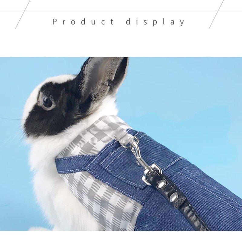 Rabbit Harness and Leash for Walking Escape Proof - Cute