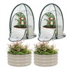 Riased Garden Bed with Greenhouse Cover, Raised Planter Box (2pcs