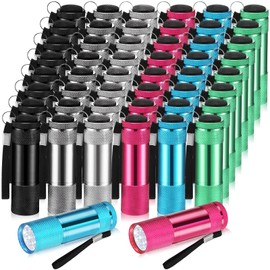 VIHOSE 48 Pcs Mini Flashlights Bulk, Bright Aluminum Handheld Flash Light with Lanyard, Small LED Flashlights for Kids Night Reading Emergency Hurricane Camping Hiking Party Favors(Cool Color)