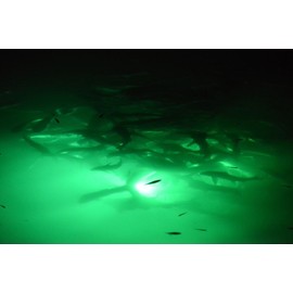 CH 8 foot GREEN Fishing Light - UNDERWATER Submersible Fish Attraction Light LED