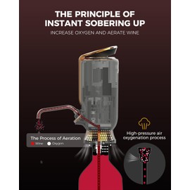 Newise Luxurious 3-in-1 Electric Wine Aerator, Decanter, Dispenser & Vacuum Pump. Touch Screen LED Display - Wine Preservation System with Temp Monitor, Gift for Wine Lovers Women Men (Black)