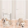 Door Protector from Dog Scratching, Clear Heavy Duty Flexible Door