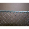 Goodwin Netting 20' x 25' Golf Netting With Top Rope