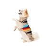 Chilly Dog Painted Desert (Small)