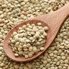 Chef's Choice Organic Green Lentils 500 g