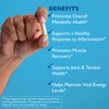 Excellacor-90 Systemic Enzyme Supplement – Acid-Resistant Serrapeptase & Proteolytic Enzymes