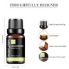 MAYJAM Essential Oil Lemongrass Aroma Oil 10ml Essential Oil 100%