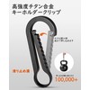 TIMULTI Titanium Key Holder, Small Carabiner Clip, Men's, Quick Release