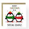 Special Couple Christmas Card, Penguin Christmas Card for a Special