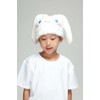 Skater TOC11-A Sanrio Water Absorption Quick-Drying Animal Towel Cap, Cinnamoroll,