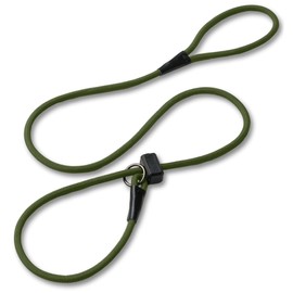 Fenrir Slip Leash 1.4m Professional Dog Training Lead To Stop Pulling, Perfect For Walks, Easy To Use, Spring Loaded Stopper, Light Weight And Durable (Green)