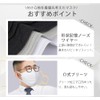 Hellozebra Mask, Large Size, Non-woven Fabric, Individual Packaging (2024 Summer