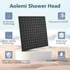 Aolemi Ceiling Mount Shower System with Rainfall Shower Head and