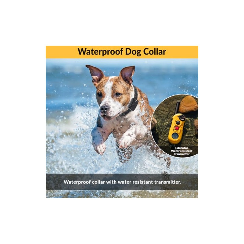 Educator Easy Sistema de Entrenamiento para Perros de 12 Milla,