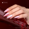 TAYE Velvet Cat Eye Gel Nail Polish Set, 6 Colors