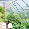 TRIXES Pack of 100 Greenhouse Clips for Attaching Greenhouse Windows/Glass,