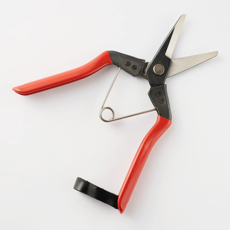 Geely Tomato Shears, Curved Edge, Round Point, Curved Blade, Special