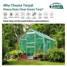TARPAL 20'x20' Clear Green Tarp Heavy Duty Waterproof 12mil with Grommets or Zip Ties for Large Greenhouses for Outdoors Garden,Farm,Chicken Coops