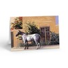 Stonehouse Collection | Variety of 10 Mexico Note Cards |