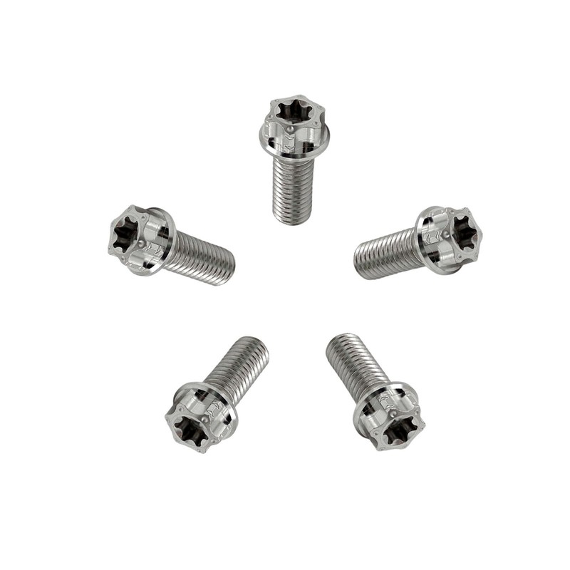RISON-Titanium Titanium Screws M6 x 1.0 x 16 mm, Pack