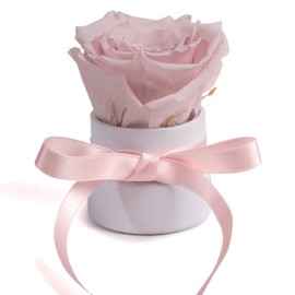 ROSEMARIE SCHULZ Heidelberg Small Rose Box White Round Infinity Rose Flower Box 1 Preserved Rose (White/Pink)