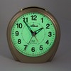 Atlanta Radio Alarm Clock Analogue with Light Luminous Dial Repetition