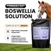 Liquid Boswellia Serrata For Horses