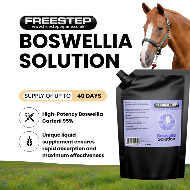 Liquid Boswellia Serrata For Horses